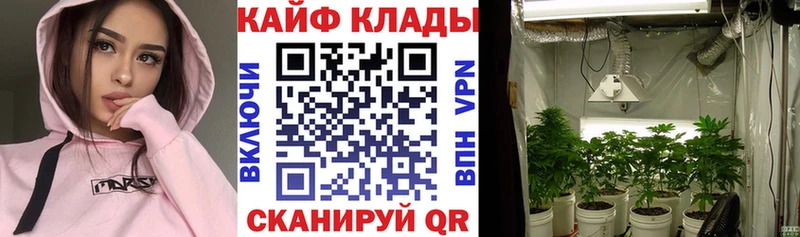 Галлюциногенные грибы Кизилюрт