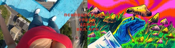 меф Алексеевка