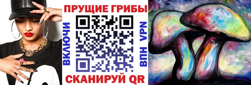сайты даркнета состав  Кизилюрт  Псилоцибиновые грибы мицелий 