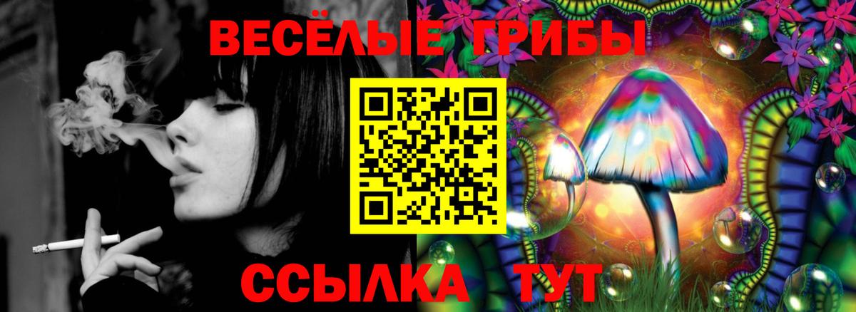 Галлюциногенные грибы Magic Shrooms  Вход с VPN  хочу наркоту  Кизилюрт 